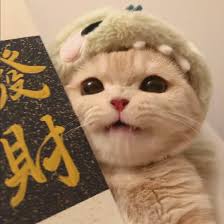 Avatar of GCashMaster24